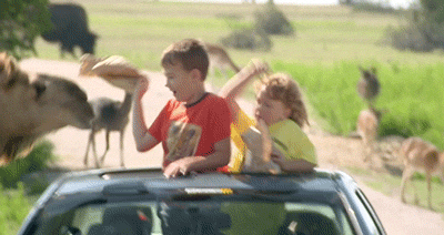 http://manmonster.m.a.pic.centerblog.net/8465_a47c.gif