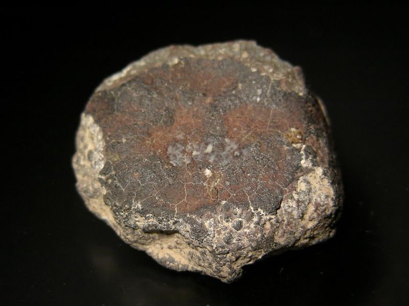 allende meteorite