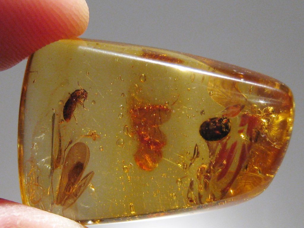 Pendentif Ambre BalTIQUE Naturel Avec Insecte Inclus – Pierre Jaune Non Traitée – Femme