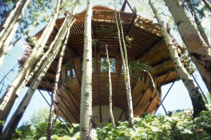 IMAGES MAISONS DANS LES ARBRES Centerblog